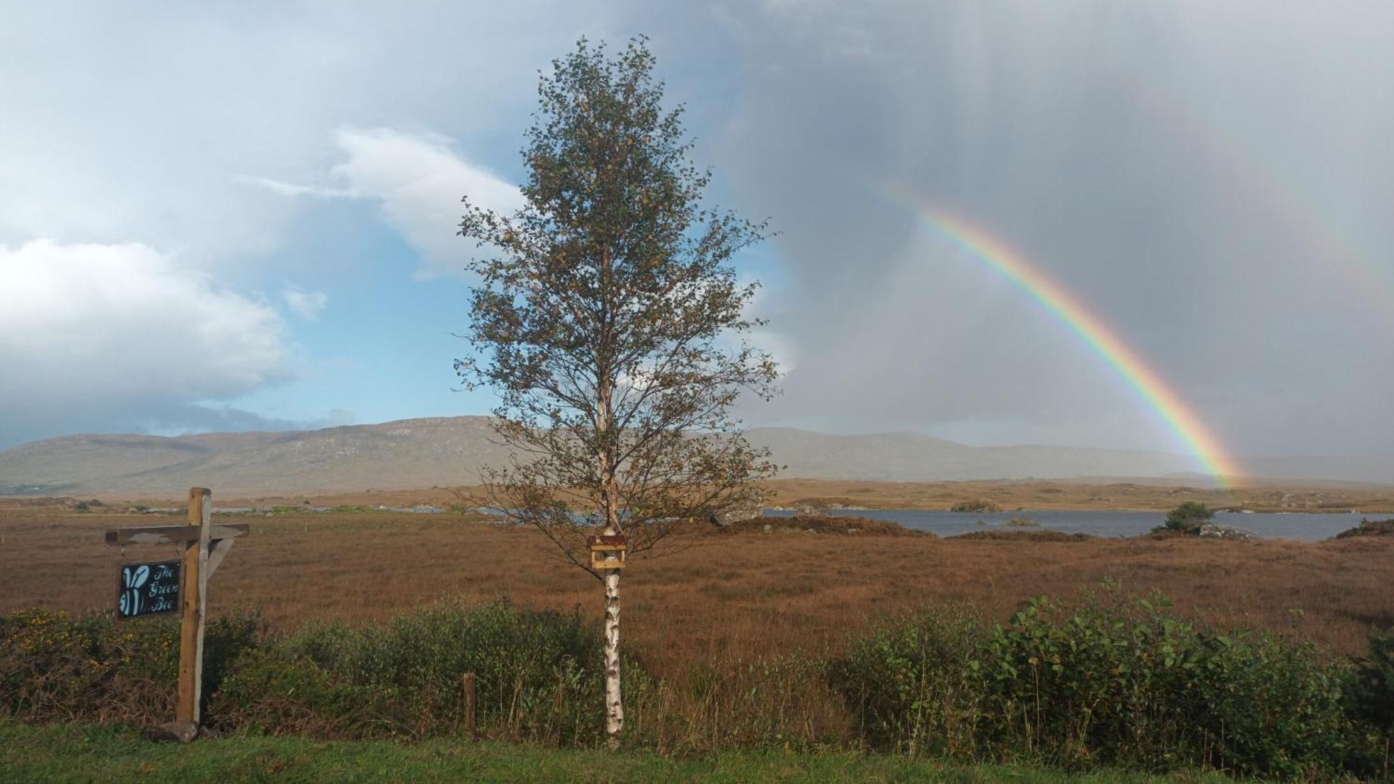 Connemara Lake View Apartment Camus Eighter Eksteriør bilde