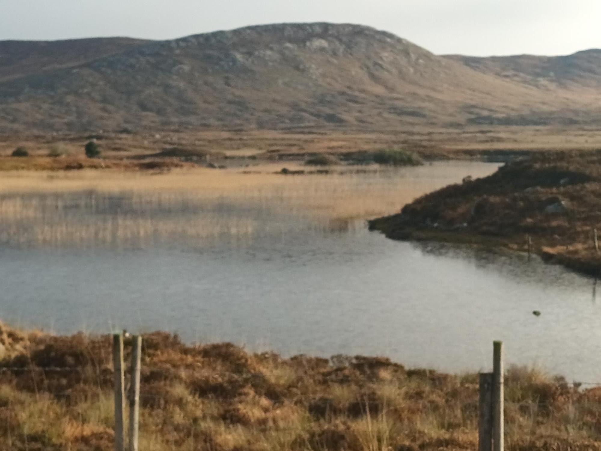 Connemara Lake View Apartment Camus Eighter Eksteriør bilde